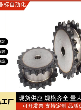 双排链轮50B SP50SD12/SP50SD13/SP50SD14-N/S-13/18S/20/25/28/3