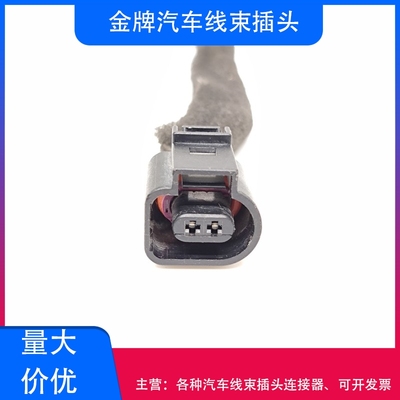 奥迪A6LA4L大众速腾迈腾插头