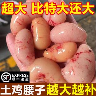 老公鸡腰子新鲜特大号冷冻土鸡卵壮年滋补鸡宝鸡肾生鲜商用批发