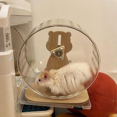 仓鼠跑步轮无声滚轮透明支架大仓鼠无聊救济玩具运动跑步跑步球景