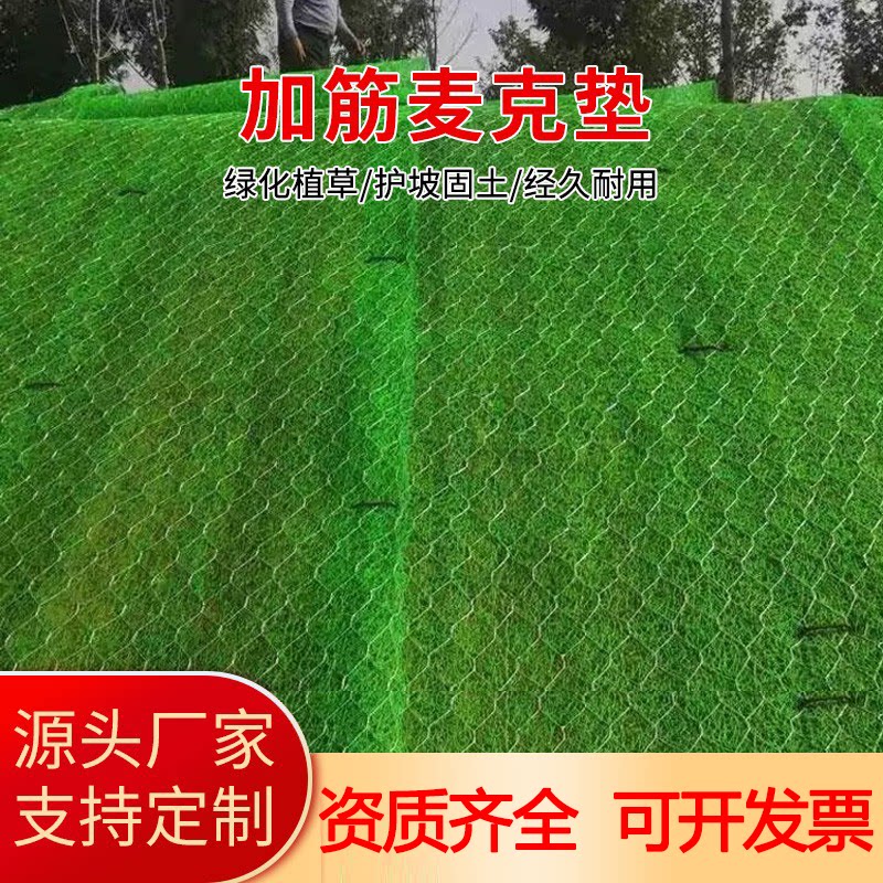 加筋麦克垫三维植被网河道治理