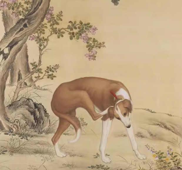 清 郎世宁《十骏犬金翅猃》电子图片装饰喷绘鉴定临摹国画素材