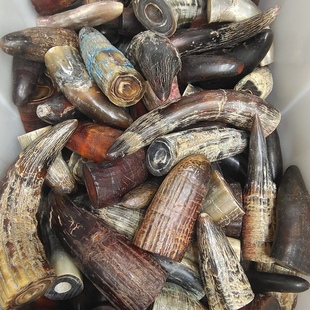 养生入药非洲中药牛角高端摆件原生态牛角刀柄材料原料手把件料