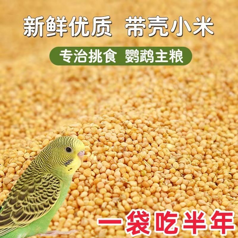 【新粮】虎皮鹦鹉饲料鸟食玄凤谷子牡丹粮食文鸟带壳小米黄雀鸟粮