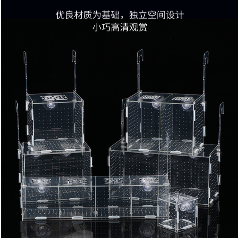 透明亚克力小型鱼缸隔离分隔盒孔雀鱼金波子鱼鹦鹉鱼专用孵化盒