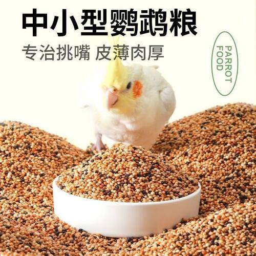虎皮牡丹玄凤中小型鹦鹉鸟食饲料五色黍子鹦鹉混合粮谷子包邮