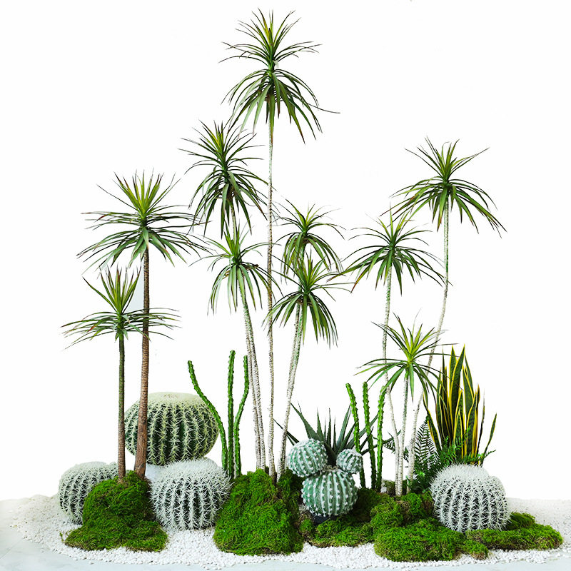 狭叶龙树夹叶马尾铁假树盆栽橱窗装饰仿真植物绿植龙树盆景