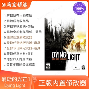 白金版 光芒决定版 epic 光芒1修改器内置武器辅助steam消失 消逝