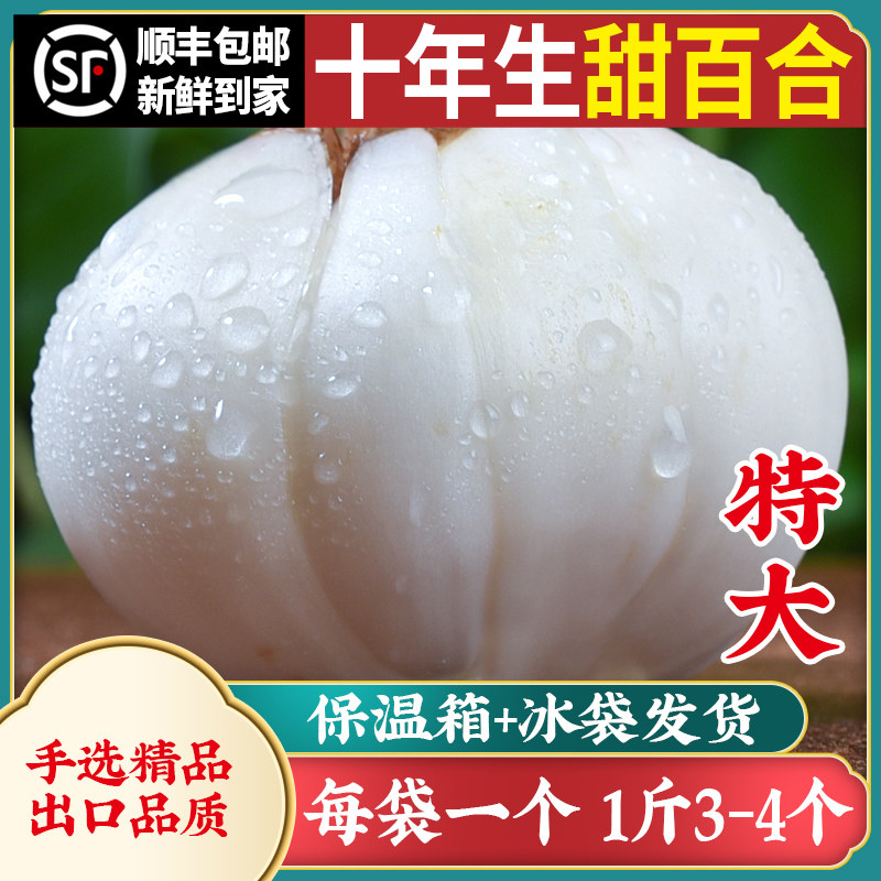 10年生甘肃兰州新挖大个头鲜百合农家食用无硫甜百合500g真空包装