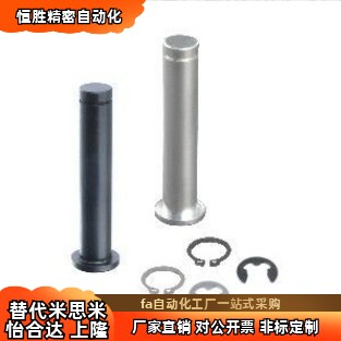 带肩铰链销MIT01/02/03/04/05/11