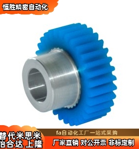 VNT01-1.0-56-B10-B-P21/P22/P23/P24/P25/P26钢芯塑料直齿轮 1.0