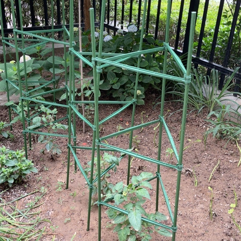 西红柿支架番茄黄瓜豆角架子