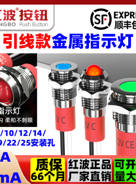 红波6/8/10/12/14mm金属指示灯12V24V220V引线电源设备LED信号灯