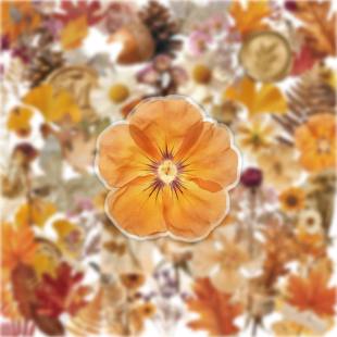 110张精美装饰手账干枯花园树叶标本贴纸ins风秋日氛围感树叶花卉