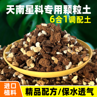 天南星营养土室内植物竹芋海芋龟背竹秋海棠花烛万年青白掌热植土