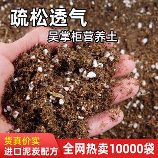 品氏配方营养土泥炭配方养花盆栽蔬菜种植绣球月季通用有机泥炭土