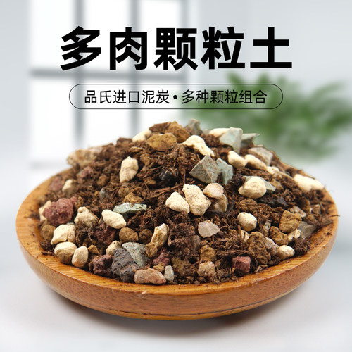 多肉营养土颗粒土上色老桩换盆