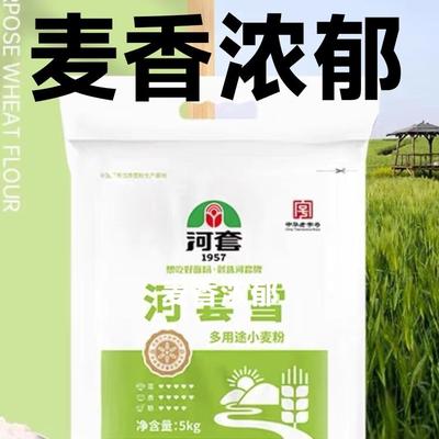河套内蒙古高筋粉家用面粉
