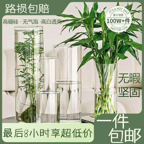 花瓶玻璃透明摆件高硼硅直筒客厅水养雪柳富贵竹高级感大号插花瓶
