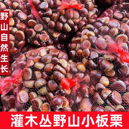2025新鲜生板栗野山小毛栗子高山毛栗子小颗粒批发小个板栗