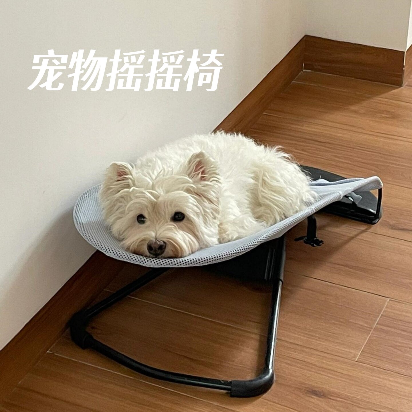宠物狗狗摇摇椅中小型犬狗床离地狗窝四季通用猫咪睡觉躺椅可折叠