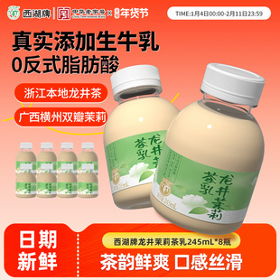 西湖牌龙井茉莉茶乳醇香低温245mlX8瓶装官方旗舰店