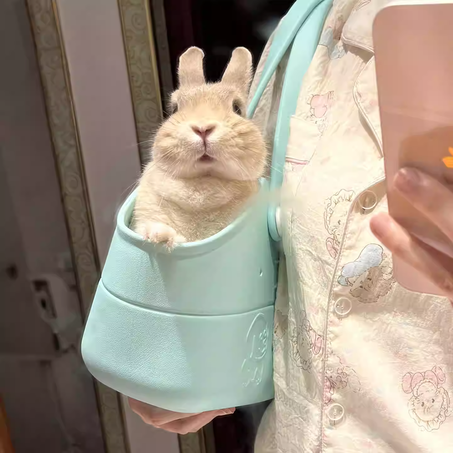 兔子外带包小宠外出便携笼兔兔荷兰猪龙猫猫狗背包手提包旅行笼