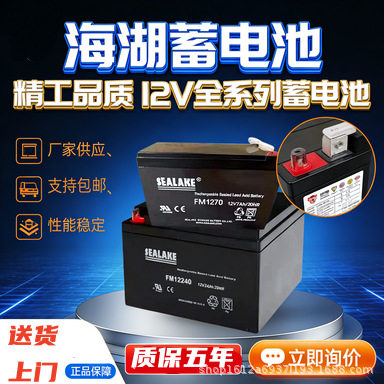 SEALAKE海湖 6FM100-12蓄电池12V100AH机房不间断电源12V专用电池