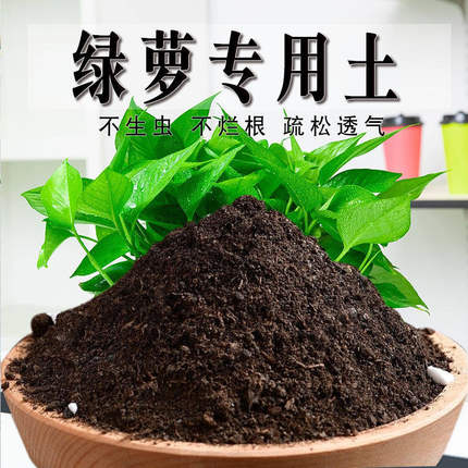 绿萝专用土绿萝专用营养土养花通用型家用种植土绿植有机土壤肥料