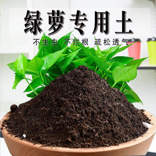 绿萝专用土绿萝专用营养土养花通用型家用种植土绿植有机土壤肥料
