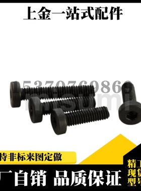 CBSH3/4-4/5/6/8/10/12/16/20低头内六角螺丝 薄头螺栓
