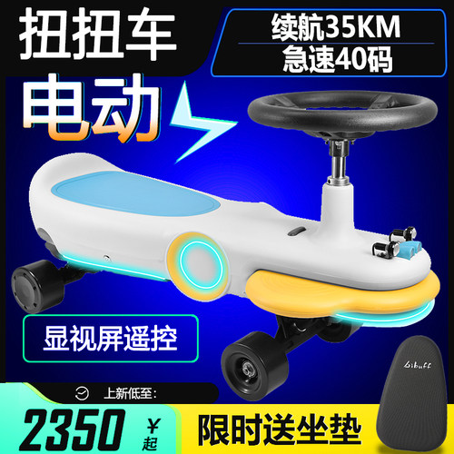 DIY成人遥控电动扭扭车