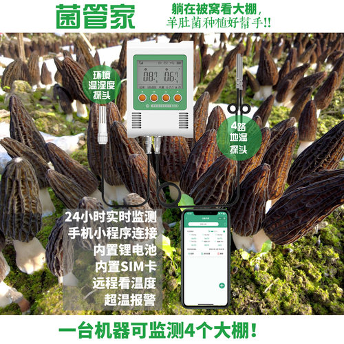 羊肚菌温度计羊肚菌种植温度监测远程监控无线温度计地温监测