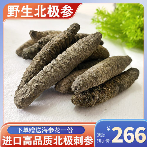 野生海参加拿大北极干货500g