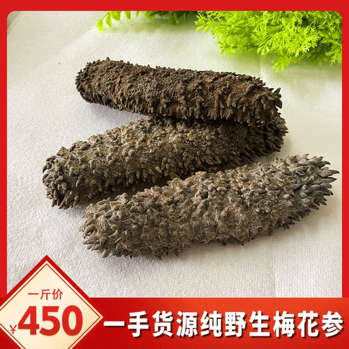 梅花参进口淡干深海野生天然食用
