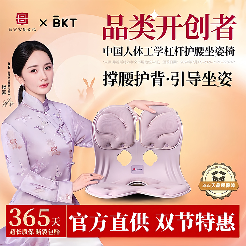 BKT护腰坐垫腰部支撑靠垫坐姿垫