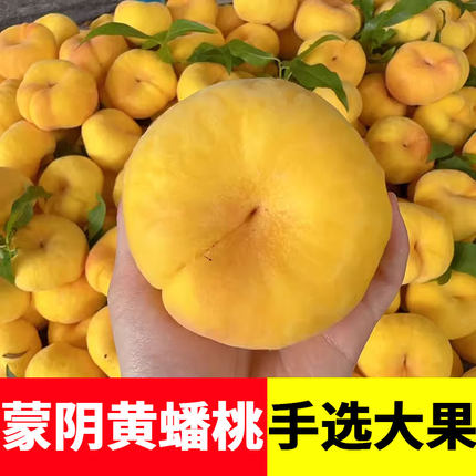 蒙阴黄金蟠桃新鲜水果当季整箱孕妇时令水果黄毛蟠桃脆甜桃子潘桃