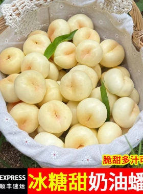 奶油蟠桃新鲜水果整箱当季蒙阴蜜桃白油蟠桃孕妇水果山东油脆潘桃