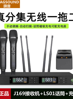 旗音J169真分集一拖二专业无线麦克风家用演出直播会议话筒充电款