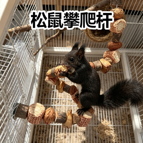 松鼠攀爬杆悬挂式装饰解闷自嗨多功能攀爬架笼内简约耐咬趣味玩具