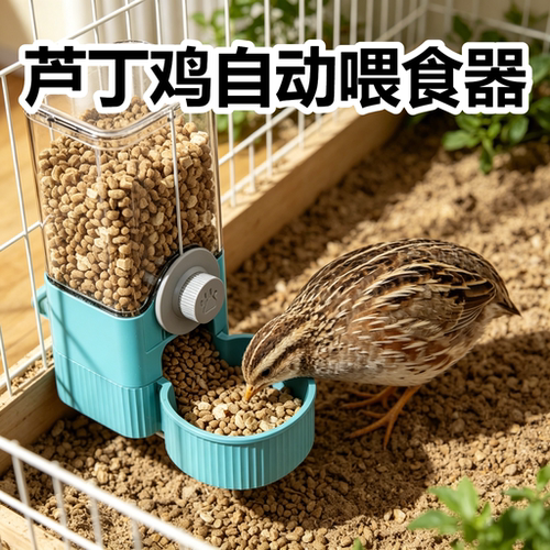芦丁鸡自动喂食器饲养笼喂食喂水神器大容量挂笼防撒防溅饲养神器
