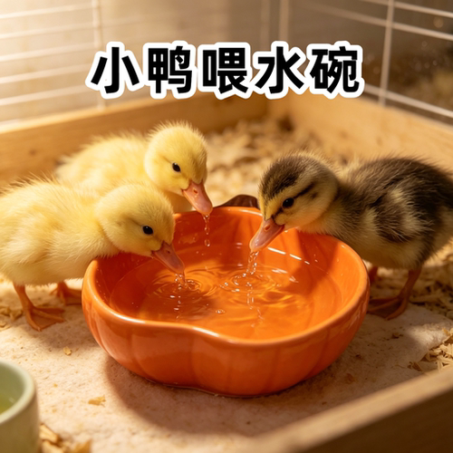 小鸭水盆幼禽喂食碟喝水盆吃料盆洗澡盆陶瓷饲料碗食物盒喂水器槽