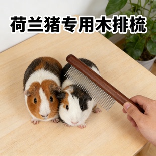 荷兰猪专用木排梳短毛宠物梳子去跳蚤梳毛发清理器便携易用木手柄