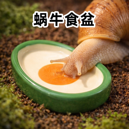 蜗牛食盆水盆迷你宠物白玉蜗牛爬宠专用饲养箱造景微景观水果托盘