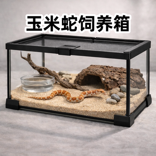 玉米蛇幼体饲养缸超白玻璃爬宠箱防逃透气观察缸生态展示盒可叠层