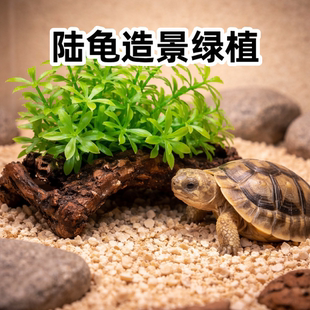 陆龟幼体沉木绿植造景仿真装 饰品龟箱布景遮挡生态用品小型龟适用