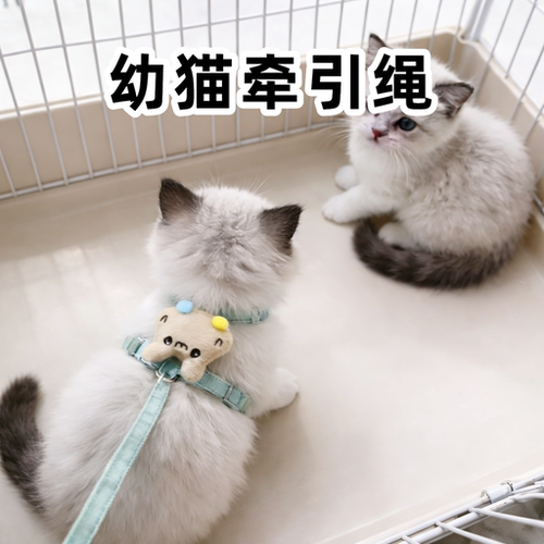 幼猫工字防挣脱可调节牵引绳
