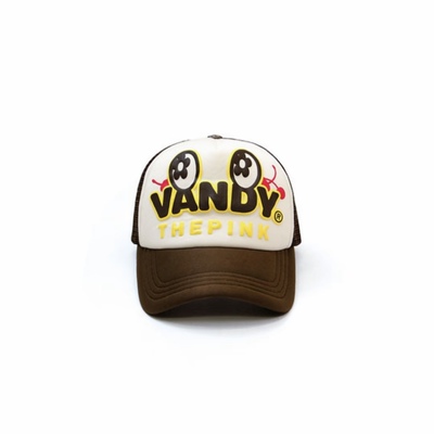 VandyThePink三方联名棕色棒球帽