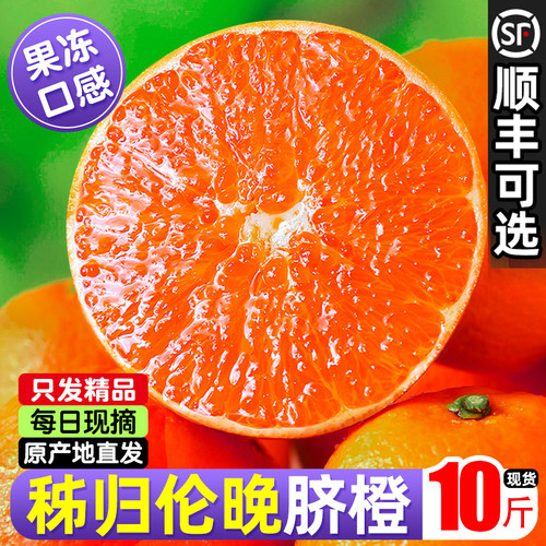 「东方甄选力荐」正宗伦晚脐橙
