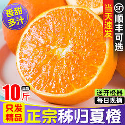 正宗秭归夏橙脐橙新鲜橙子10斤大果榨汁专用当季整箱甜橙湖北水果